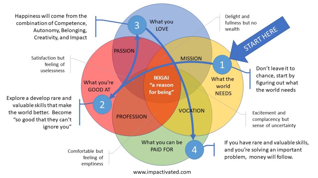 Impact and purpose with Ikigai